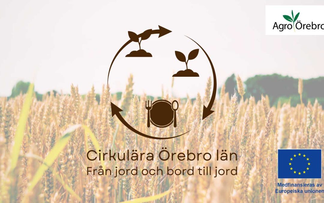 Cirkulära Örebro