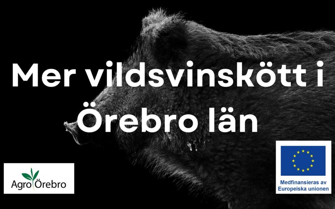 Mer vildsvinskött