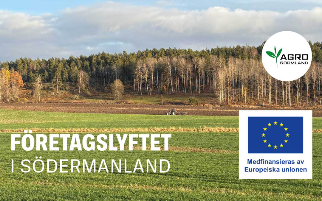 Företagslyftet Södermanland