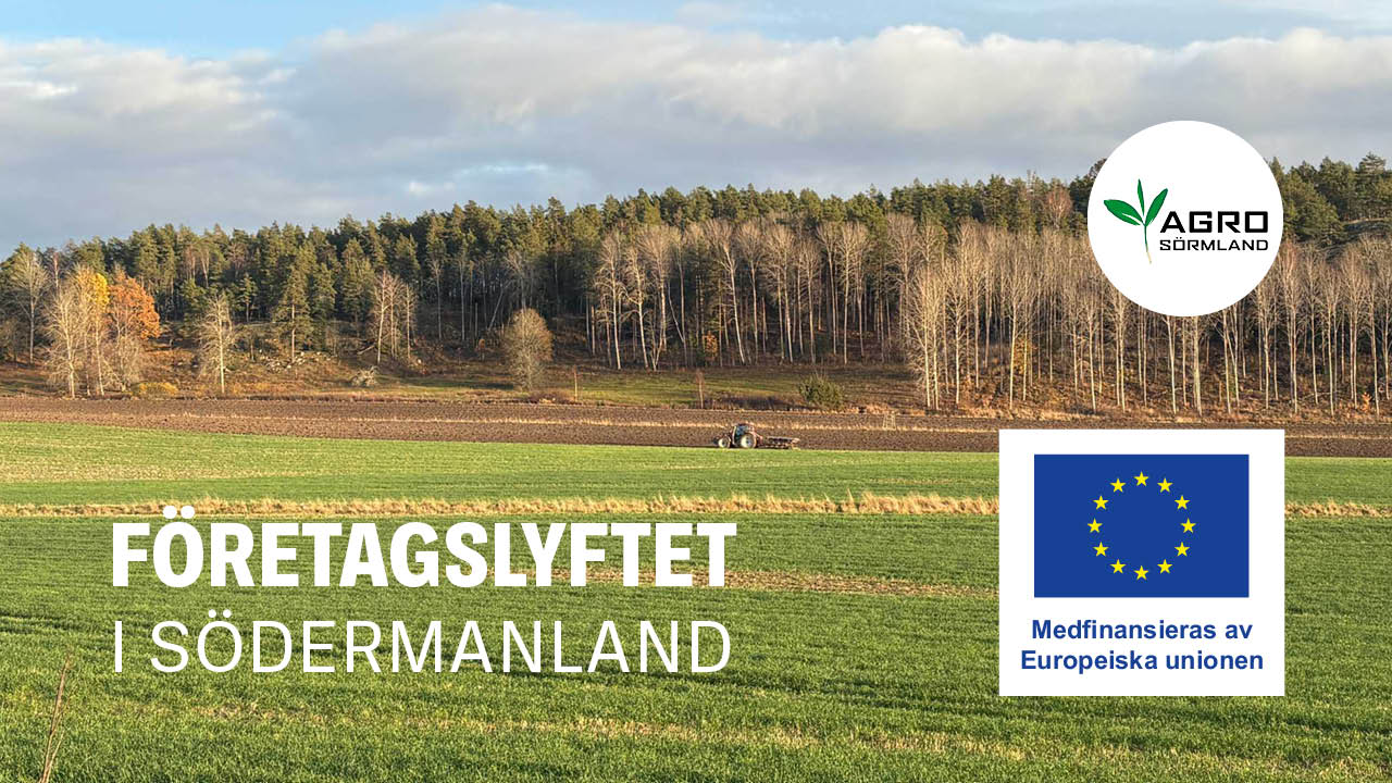 Företagslyftet Södermanland